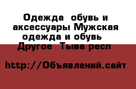 Одежда, обувь и аксессуары Мужская одежда и обувь - Другое. Тыва респ.